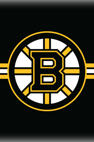 Fondo de pantalla Boston Bruins Hockey 320x480