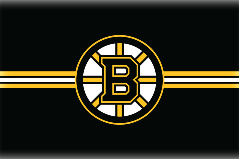 Screenshot №1 pro téma Boston Bruins Hockey 480x320