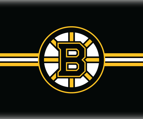 Fondo de pantalla Boston Bruins Hockey 480x400