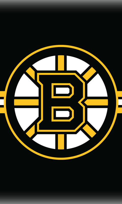 Screenshot №1 pro téma Boston Bruins Hockey 480x800