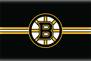 Boston Bruins Hockey - Obrázkek zdarma pro Fullscreen Desktop 1600x1200