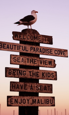 Fondo de pantalla Welcome To Paradise 240x400