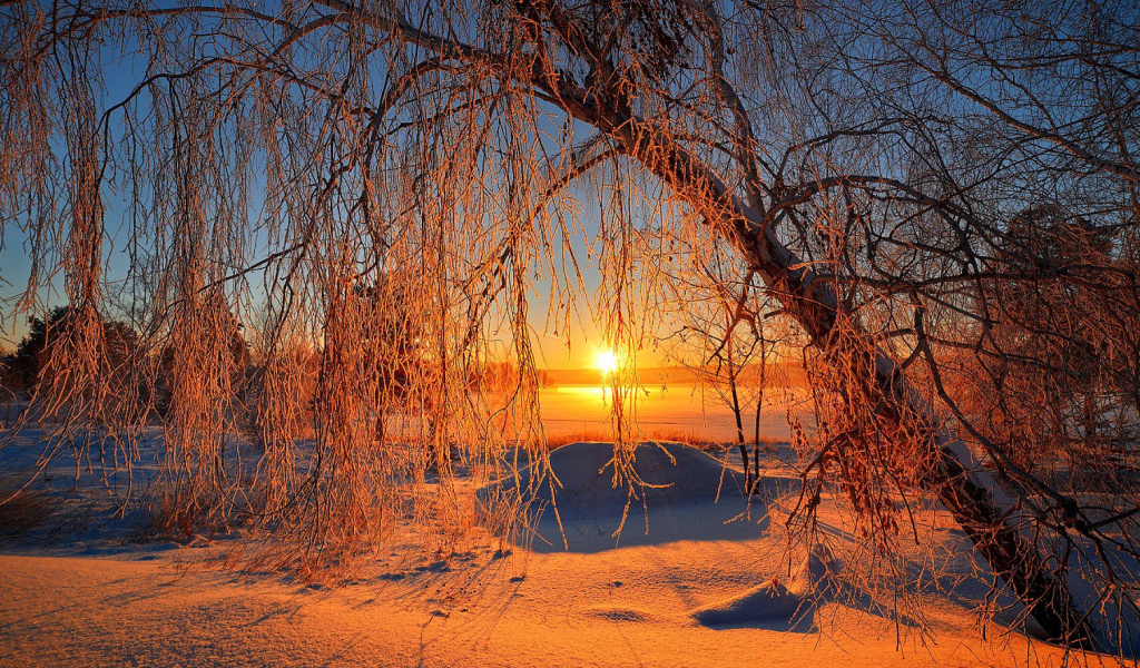 Fondo de pantalla Winter Cold Landscape 1024x600
