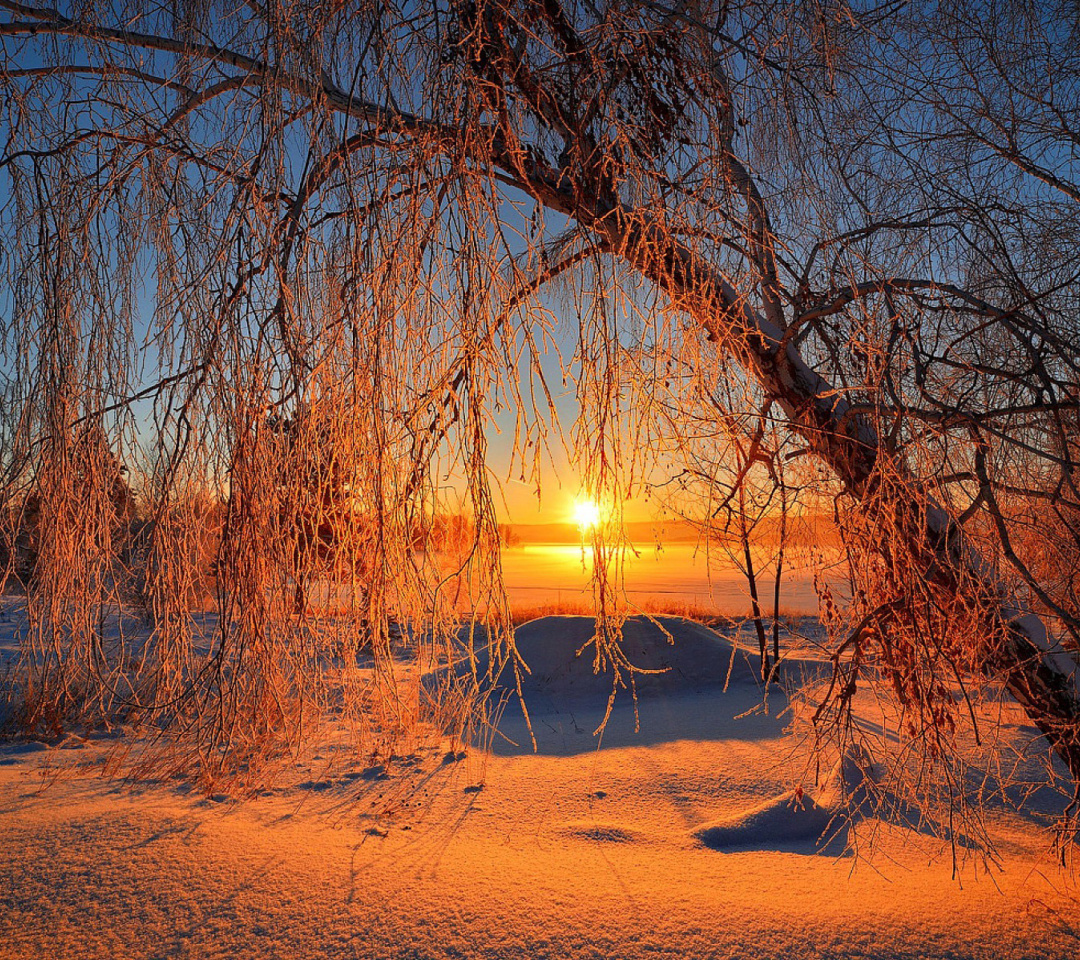 Обои Winter Cold Landscape 1080x960