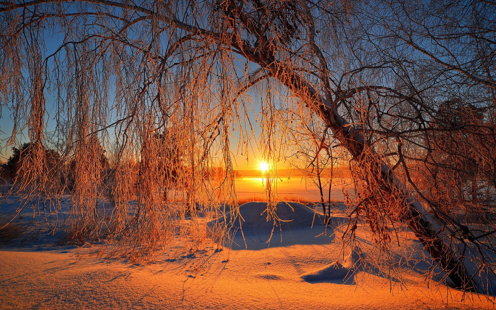 Обои Winter Cold Landscape 1680x1050
