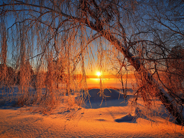 Winter Cold Landscape wallpaper 640x480