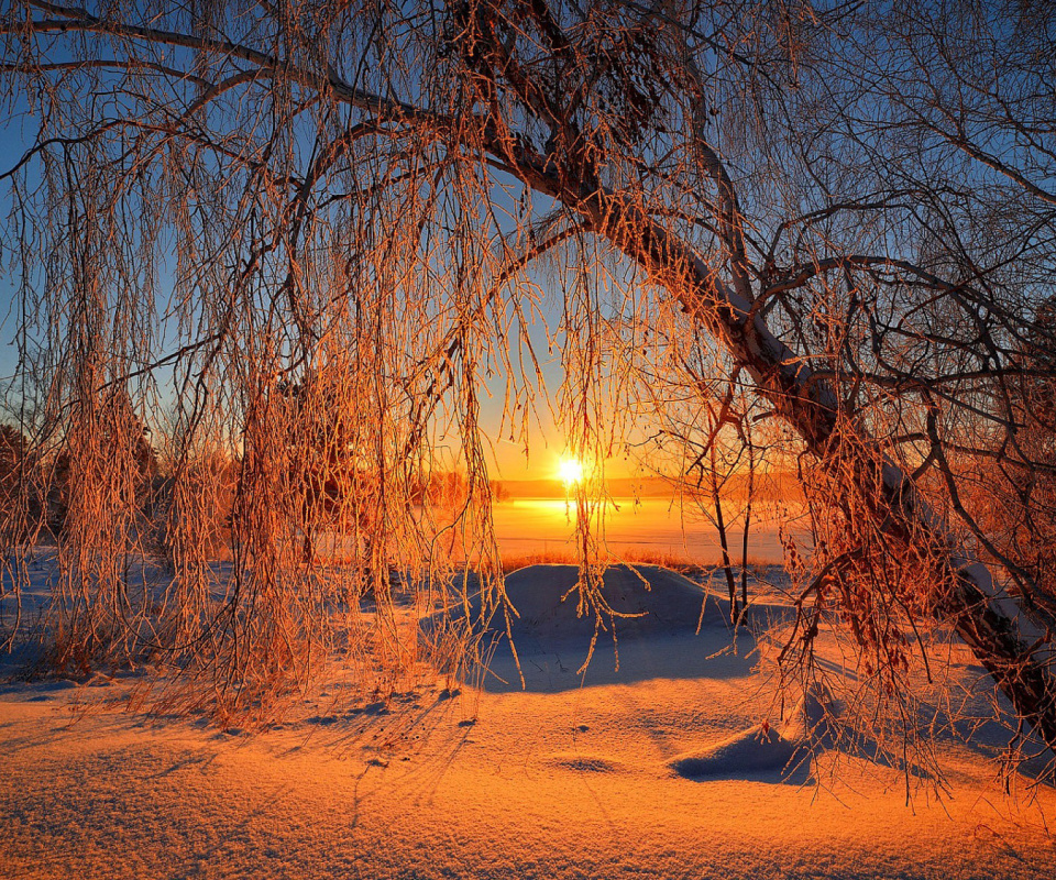Screenshot №1 pro téma Winter Cold Landscape 960x800