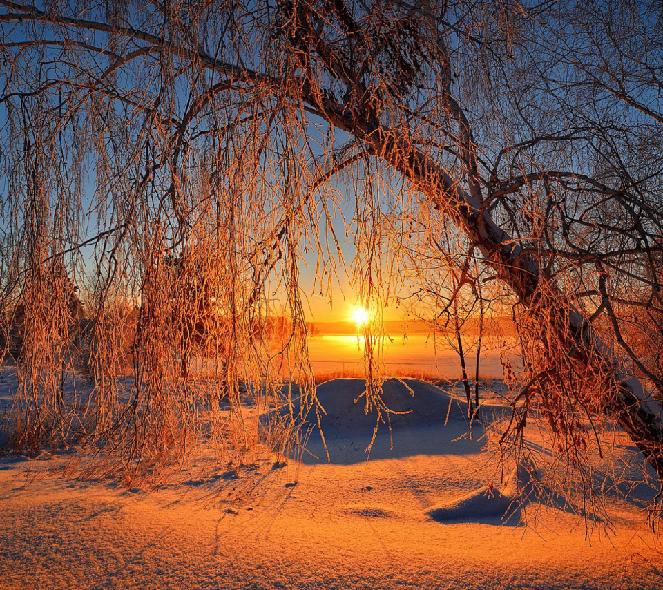 Das Winter Cold Landscape Wallpaper 960x854