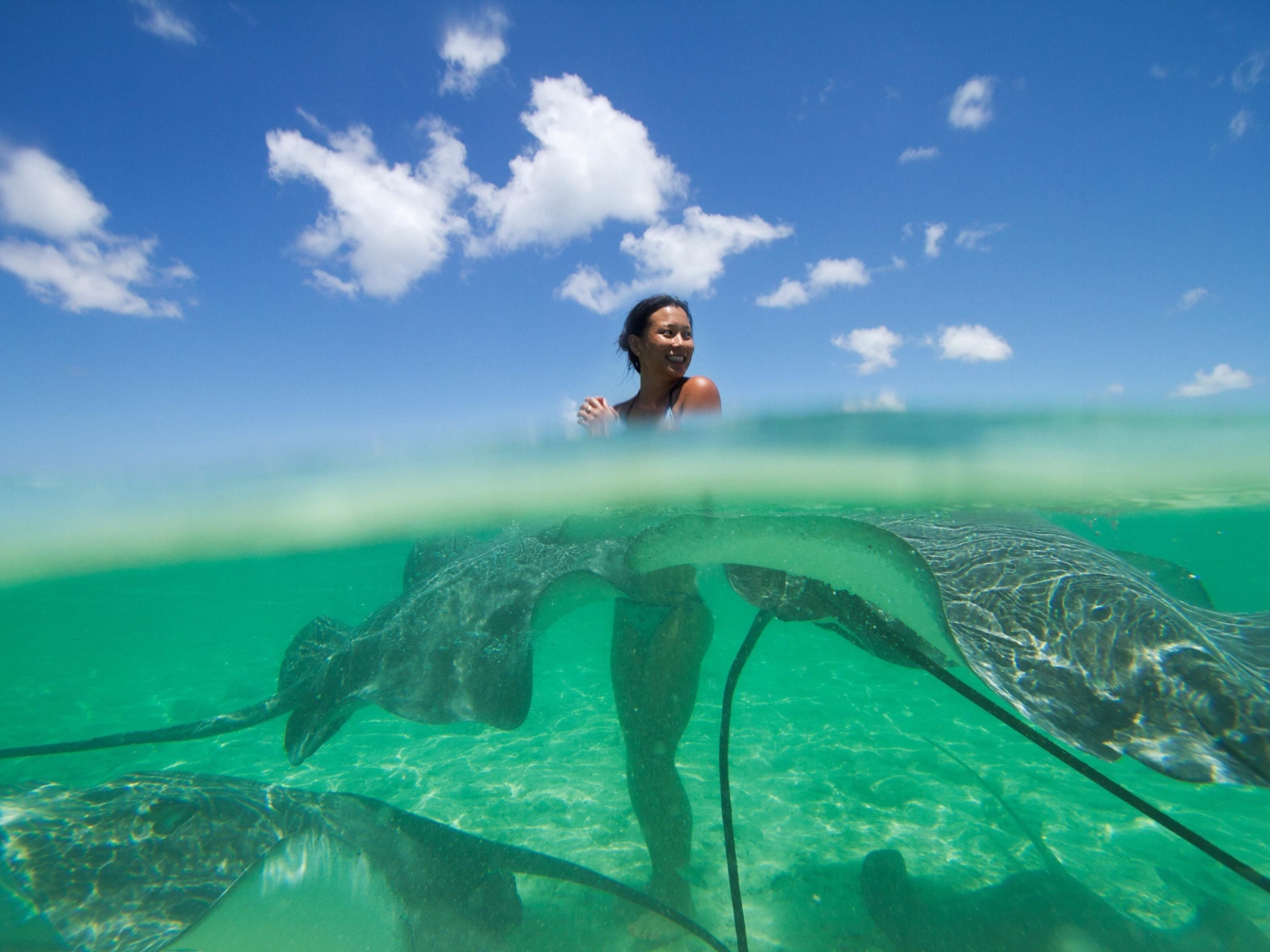 Das Girl And Rays Fish Wallpaper 1400x1050