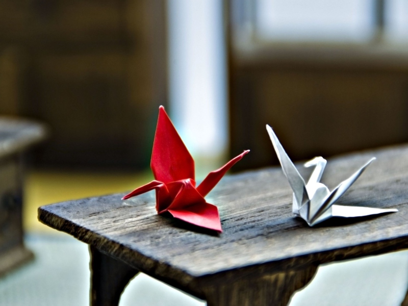 Обои Paper Origami Bird 800x600