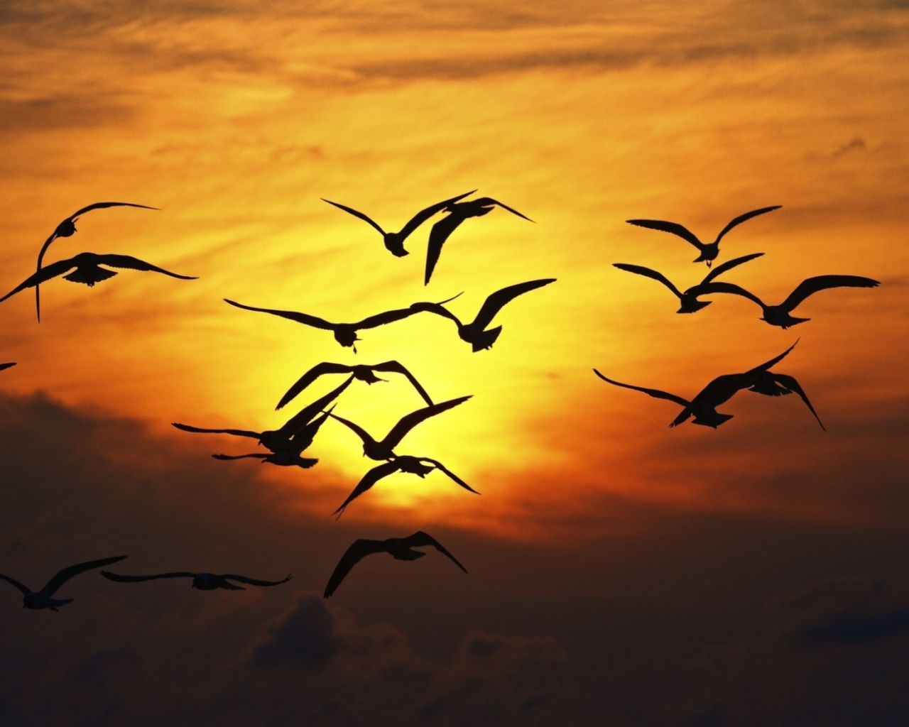 Screenshot №1 pro téma Sunset Birds 1280x1024