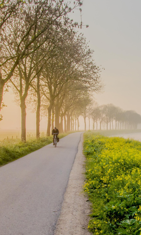 Outdoors Cycling wallpaper 480x800