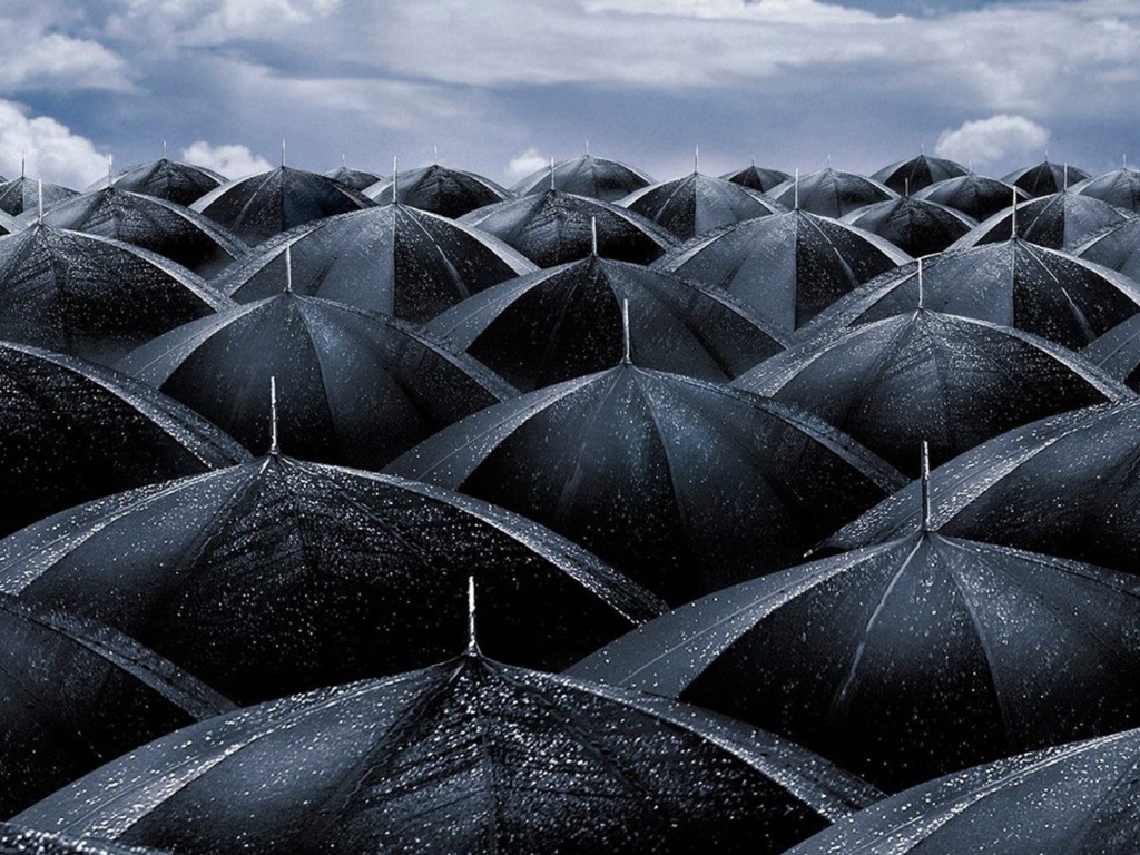 Black Umbrellas wallpaper 1024x768