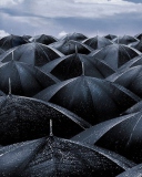 Black Umbrellas wallpaper 128x160
