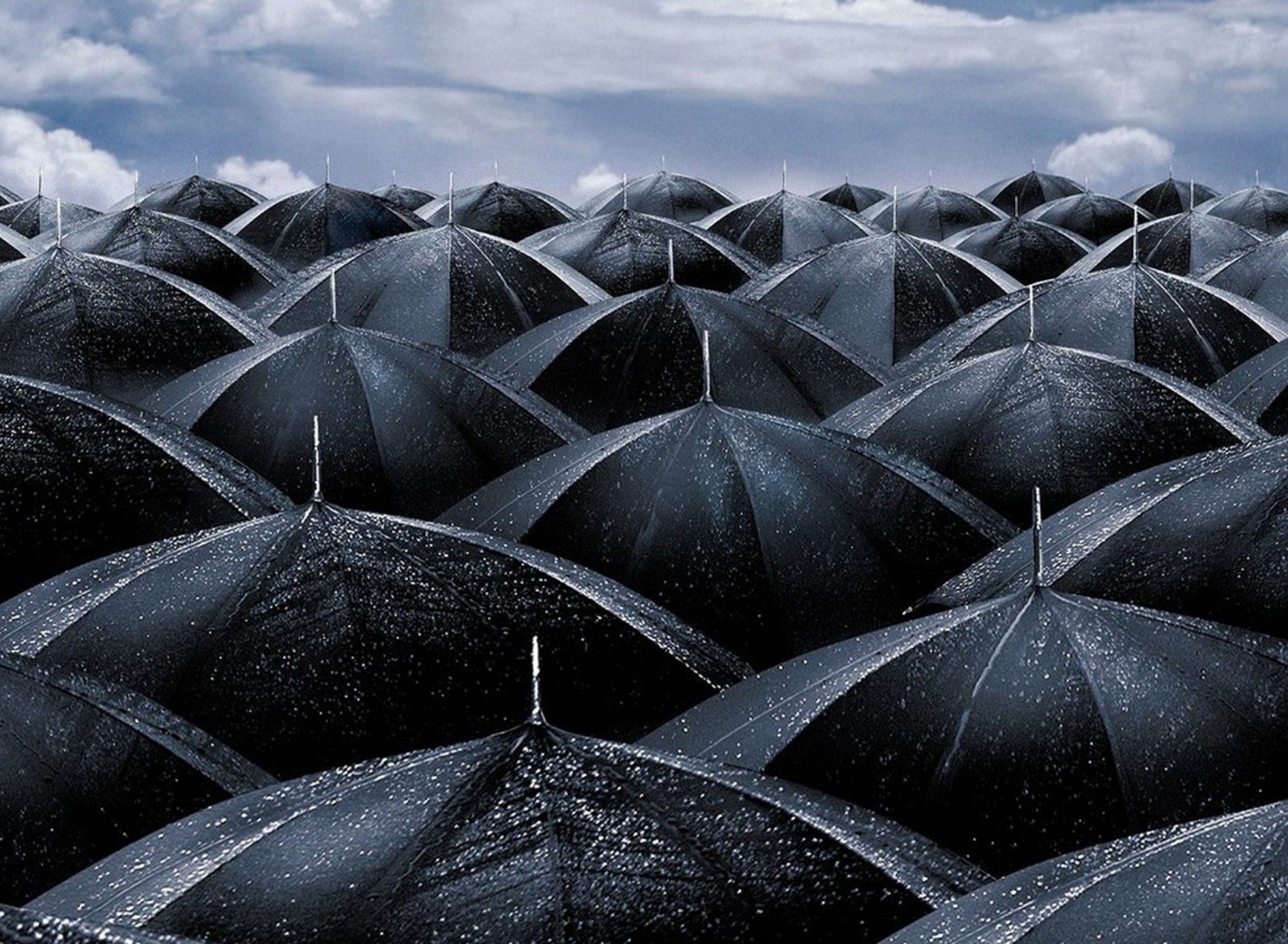 Das Black Umbrellas Wallpaper 1920x1408