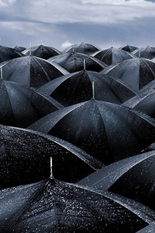 Black Umbrellas wallpaper 320x480