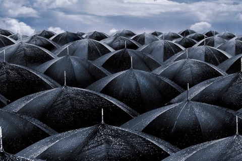 Fondo de pantalla Black Umbrellas 480x320