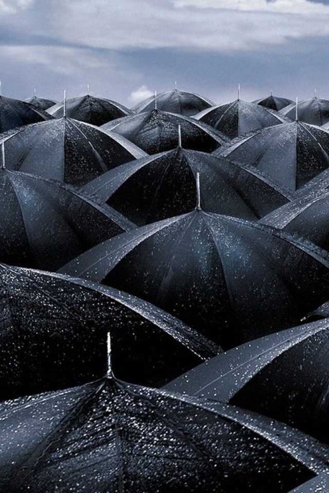 Screenshot №1 pro téma Black Umbrellas 640x960