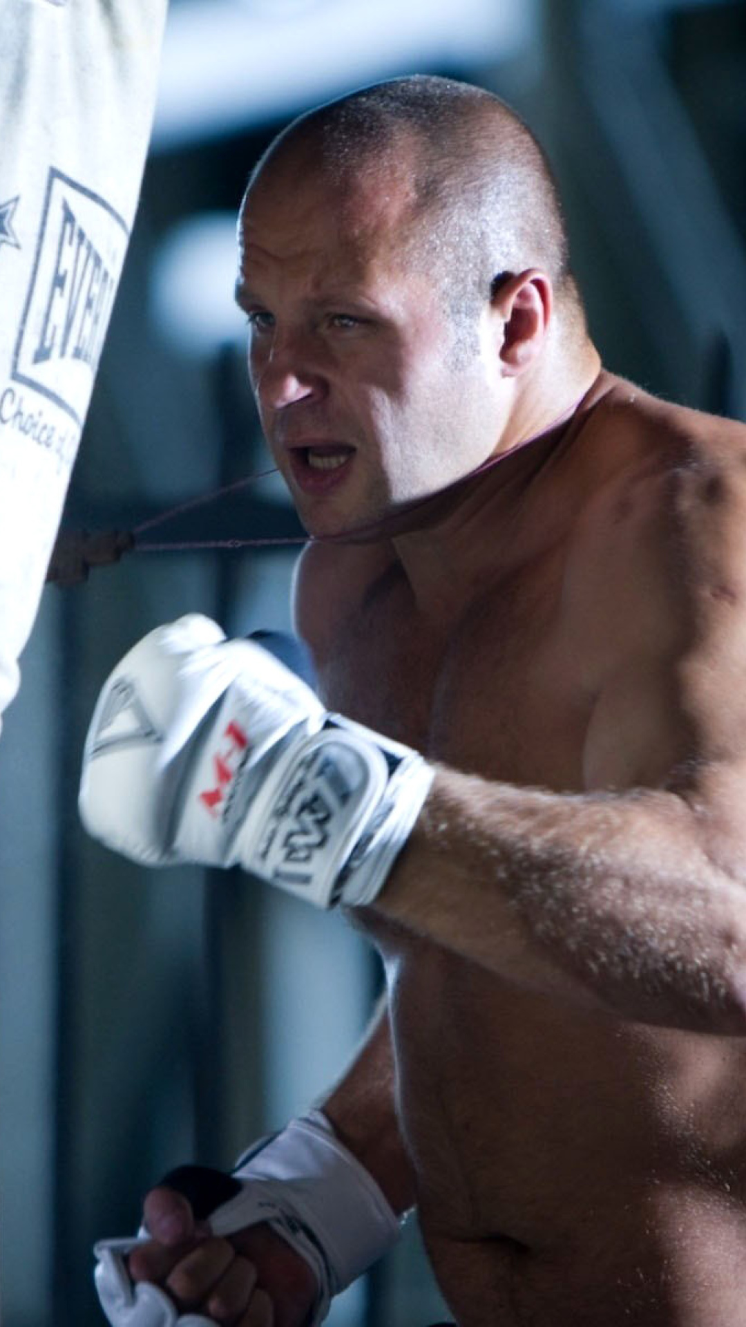 Fedor The Last Emperor Emelianenko MMA Star screenshot #1 1080x1920