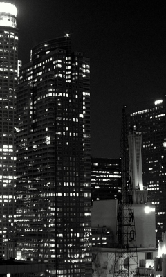 Los Angeles Black And White wallpaper 240x400