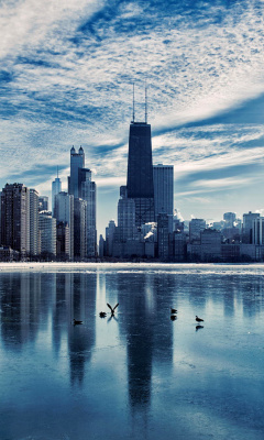 Das Chicago, Illinois Wallpaper 240x400