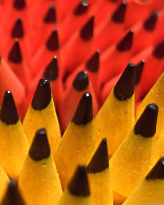 Colored Pencil Set - Obrázkek zdarma pro 240x400