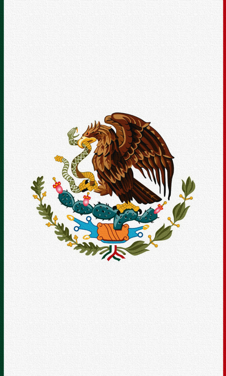 Das Flag Of Mexico Wallpaper 768x1280