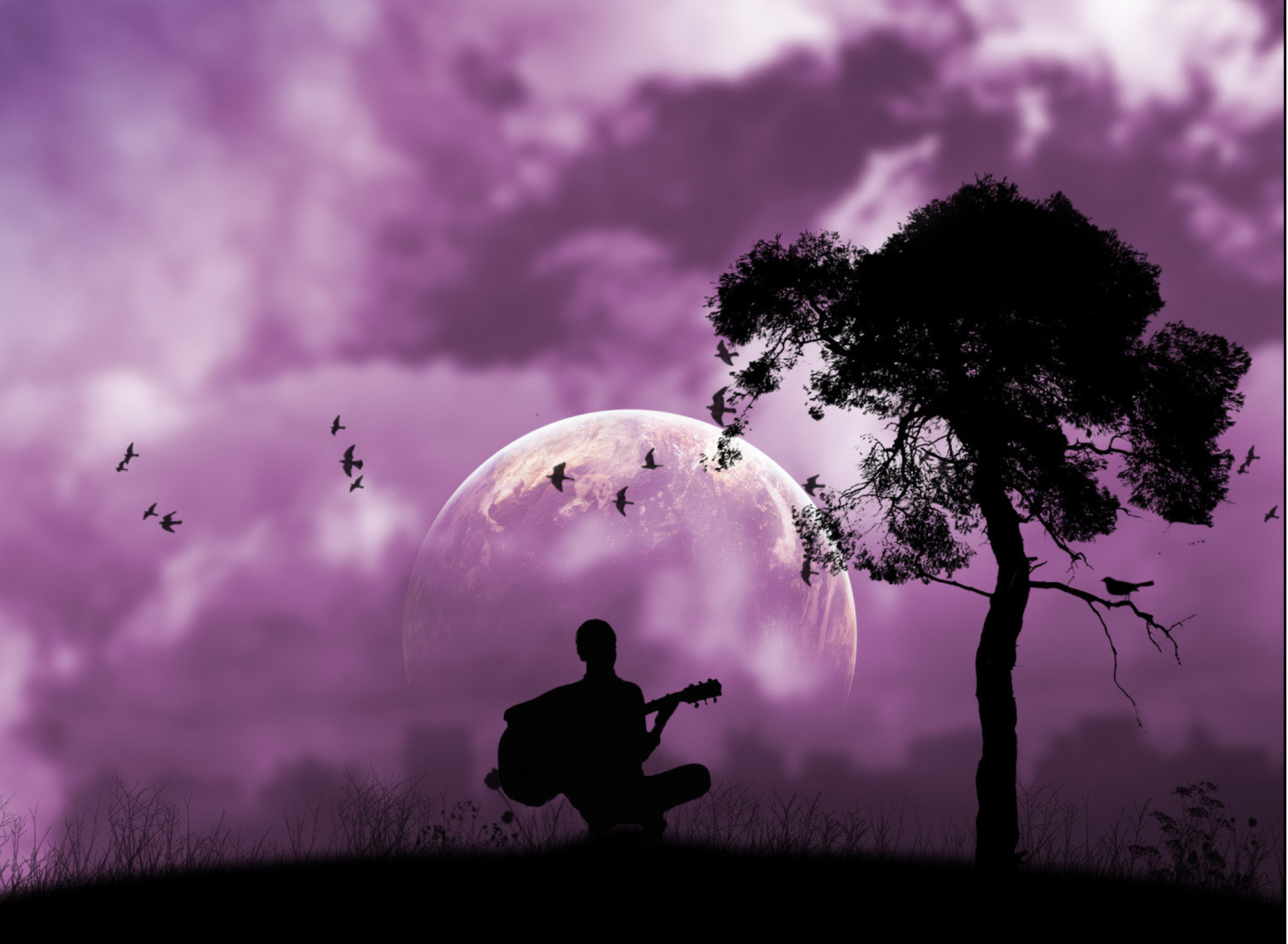 Purple Serenade wallpaper 1920x1408