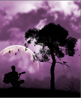 Purple Serenade - Obrázkek zdarma pro 480x640