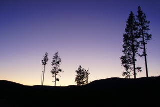 Evening - Obrázkek zdarma 