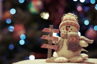 Holiday Snowman - Obrázkek zdarma 