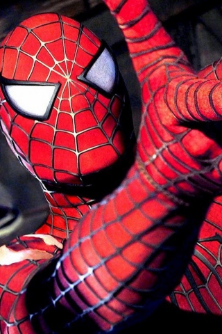 Screenshot №1 pro téma Spiderman 320x480