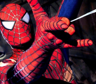 Spiderman - Obrázkek zdarma pro 208x208
