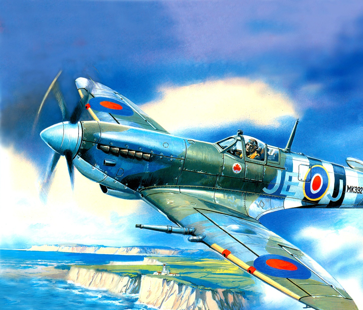 Screenshot №1 pro téma British Supermarine Spitfire Mk IX 1200x1024
