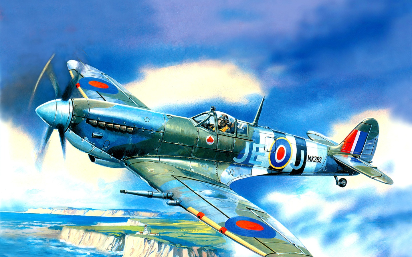 Screenshot №1 pro téma British Supermarine Spitfire Mk IX 1440x900