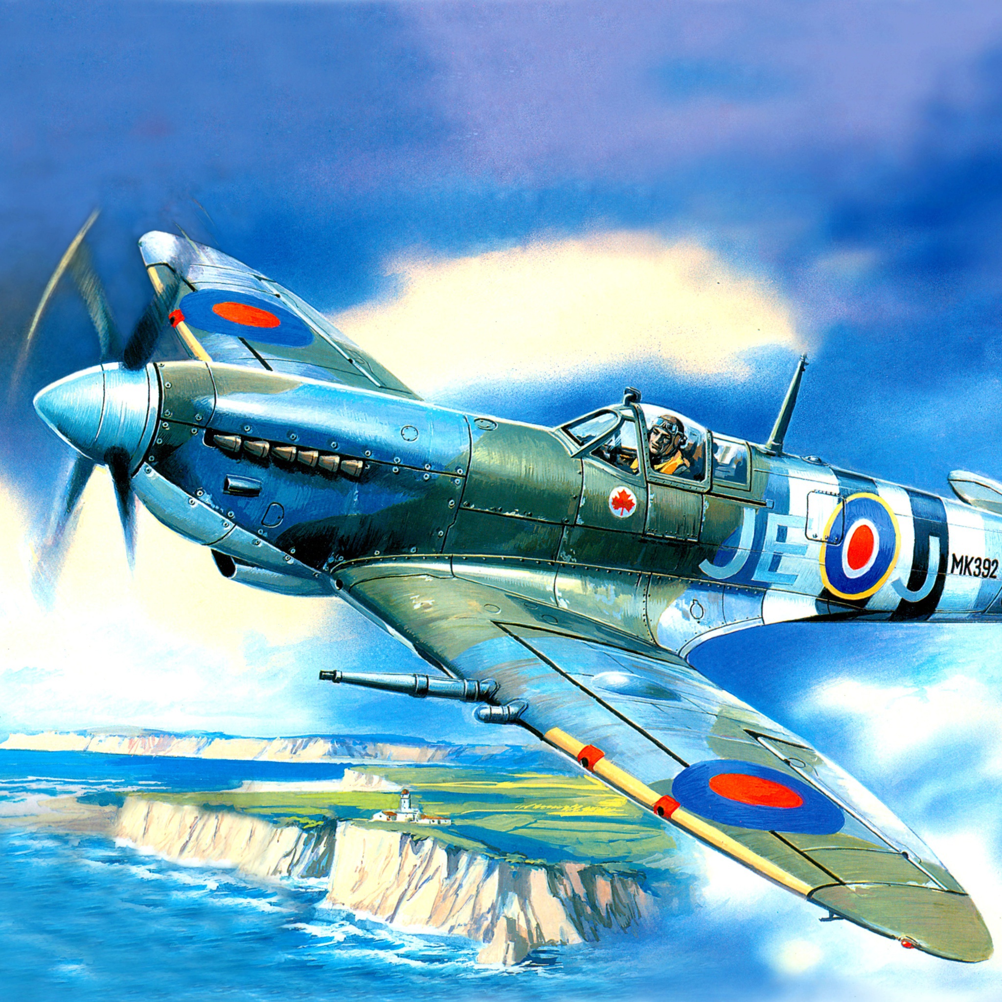 Screenshot №1 pro téma British Supermarine Spitfire Mk IX 2048x2048