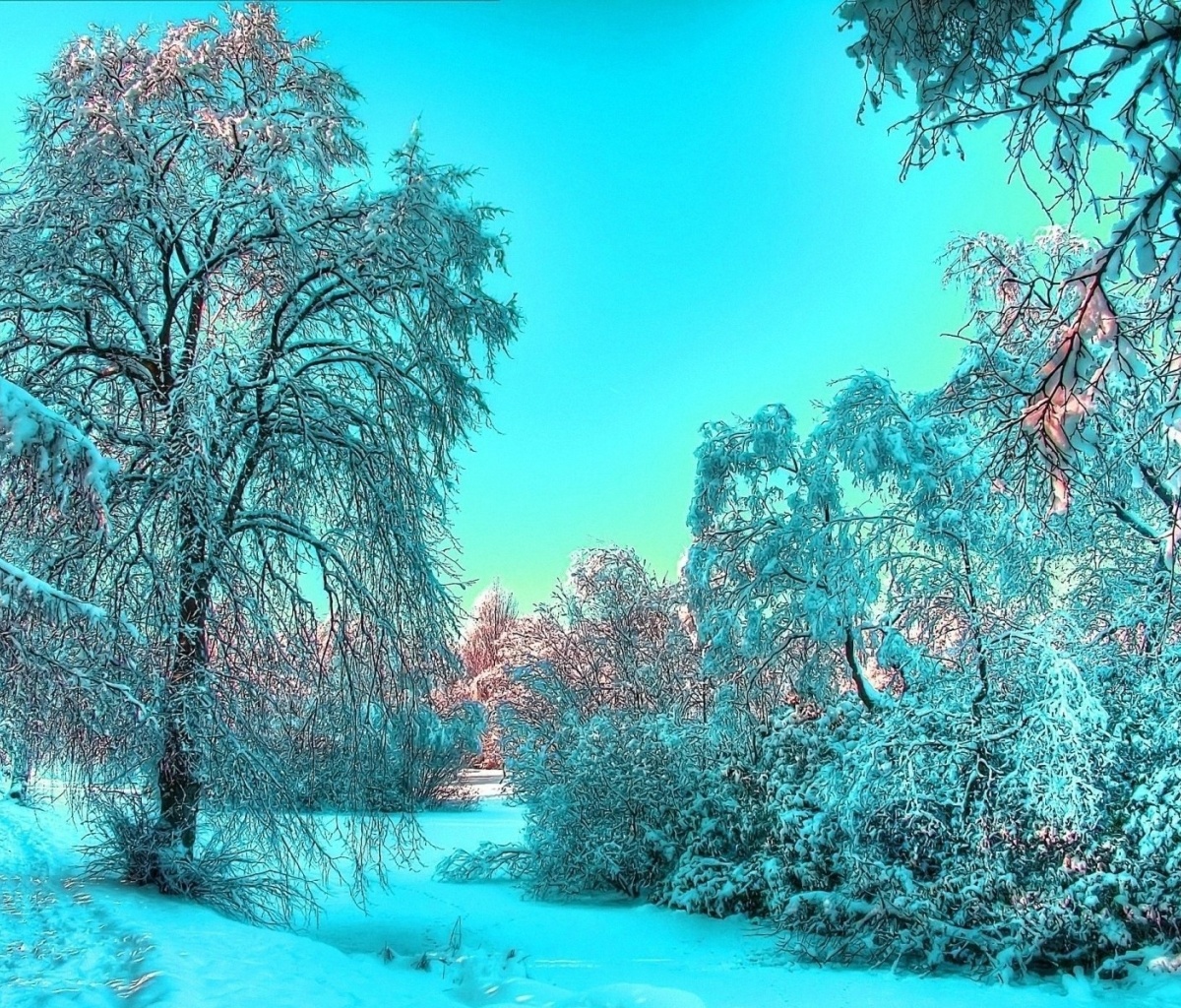 Screenshot №1 pro téma Last Month of Winter 1200x1024