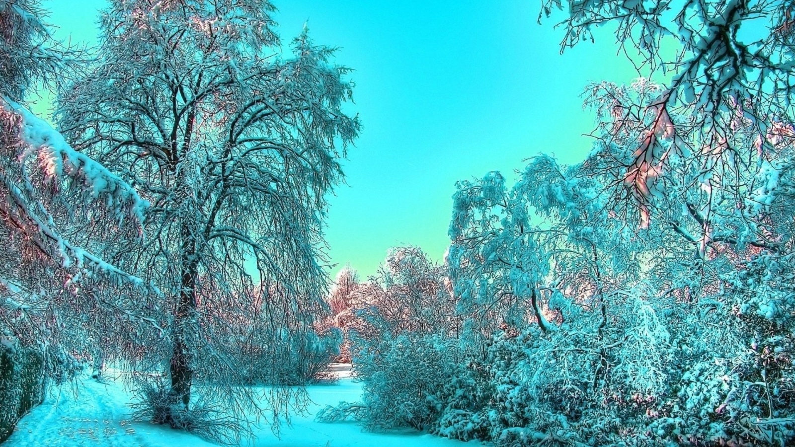 Last Month of Winter screenshot #1 1600x900