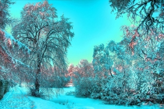 Last Month of Winter Background for Android, iPhone and iPad