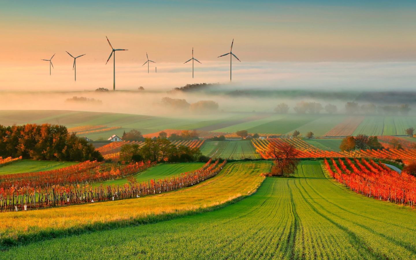 Successful Agriculture and Wind generator wallpaper 1440x900