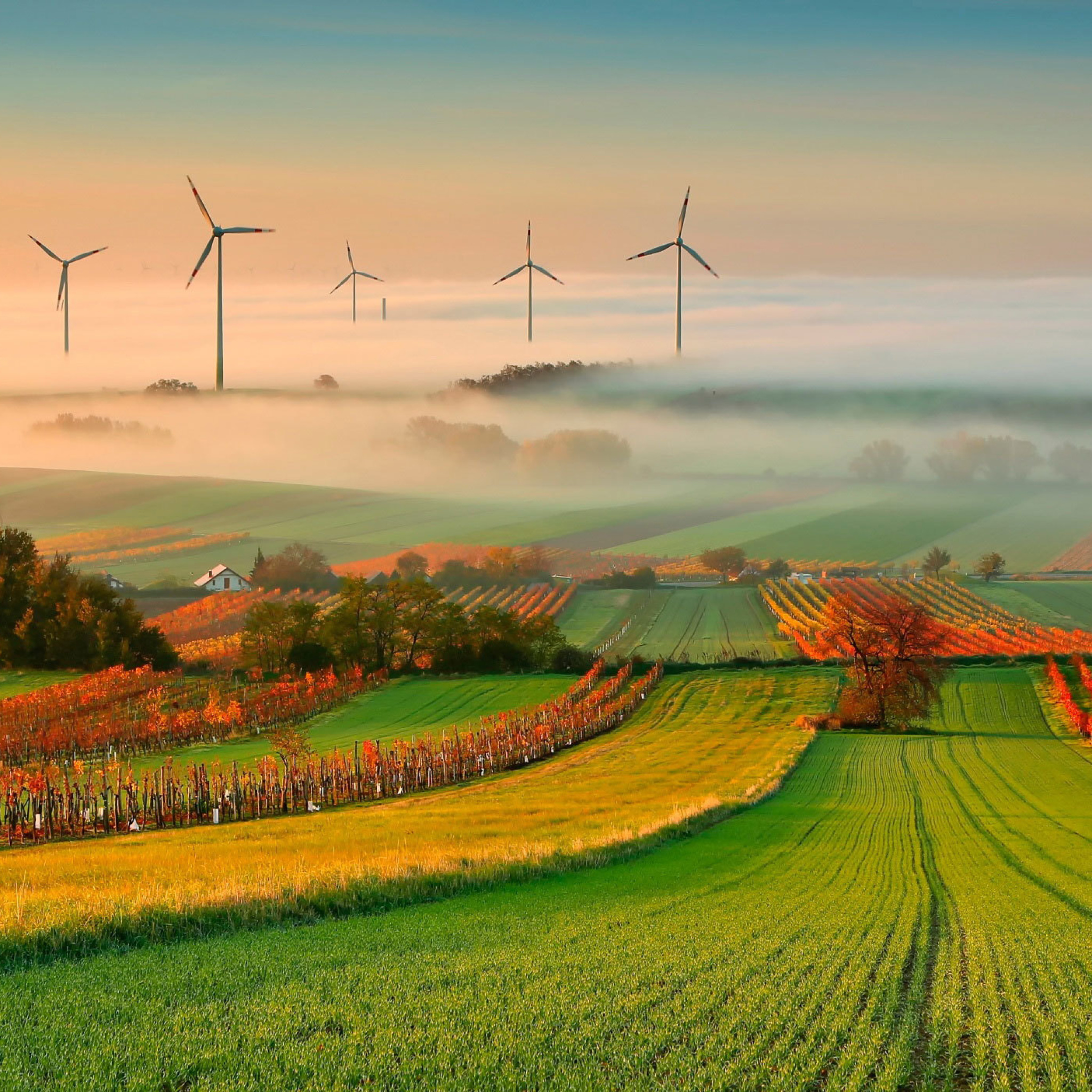 Das Successful Agriculture and Wind generator Wallpaper 2048x2048