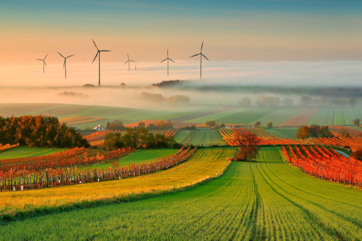 Successful Agriculture and Wind generator wallpaper