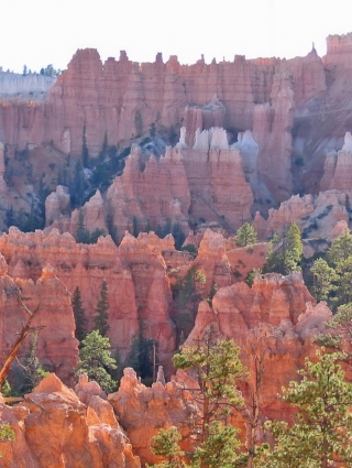 Grand Canyon - Obrázkek zdarma pro Nokia X6