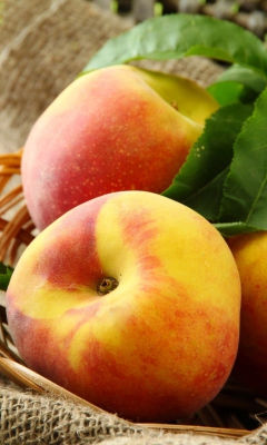 Fresh Peaches wallpaper 240x400