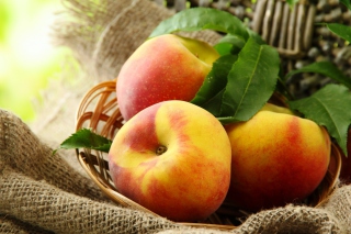 Fresh Peaches Picture for Android, iPhone and iPad