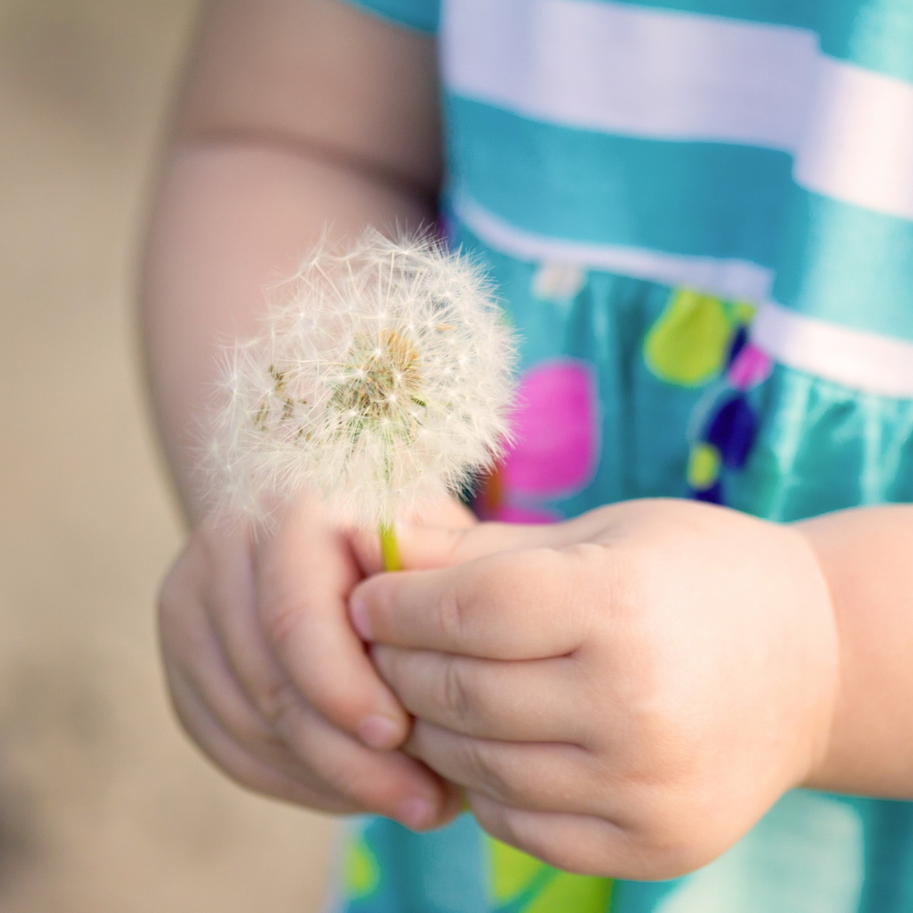 Screenshot №1 pro téma Little Girl's Hands Holding Dandelion 1024x1024