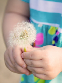 Little Girl's Hands Holding Dandelion screenshot #1 240x320