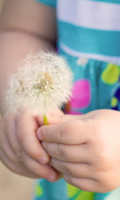 Little Girl's Hands Holding Dandelion screenshot #1 240x400