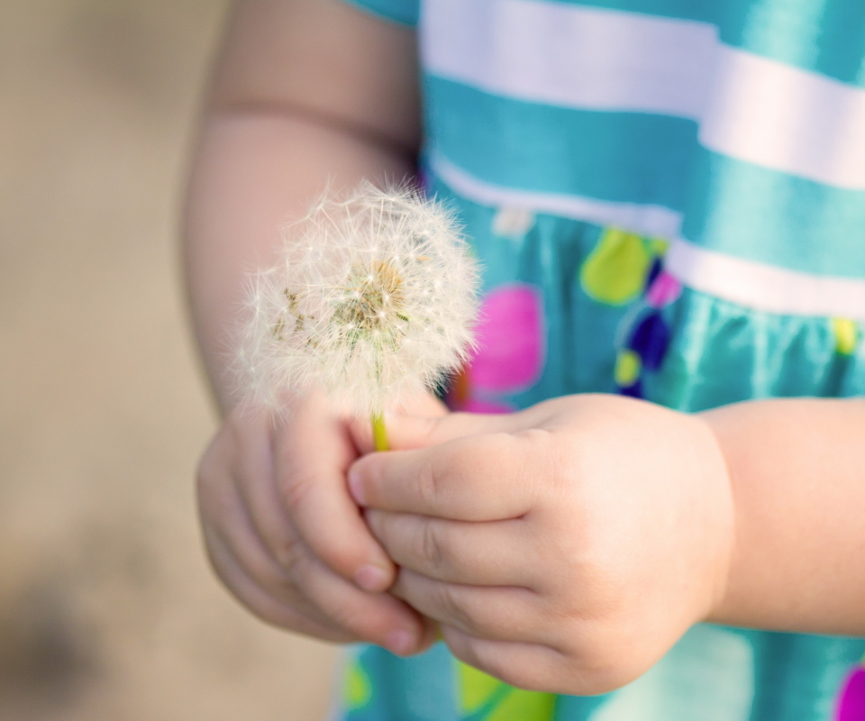 Fondo de pantalla Little Girl's Hands Holding Dandelion 960x800