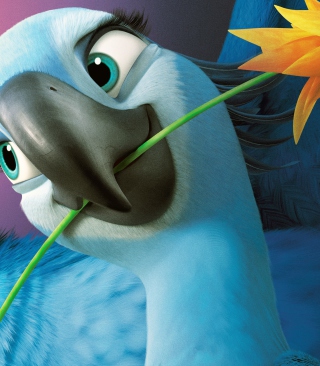 Jewel - Rio 2 Wallpaper for iPhone 5